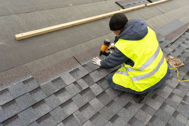 Best Roof Gutter Cleaning  in Elleale, ND