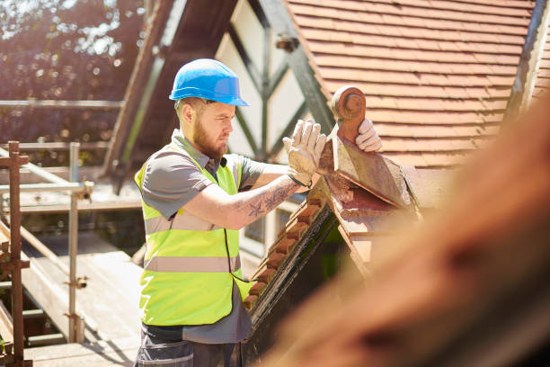 Best Roof Inspection Near Me  in Elleale, ND