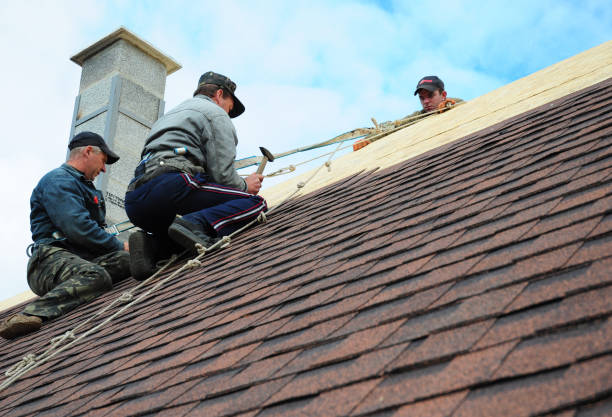 Best Best Roofing Contractors  in Elleale, ND